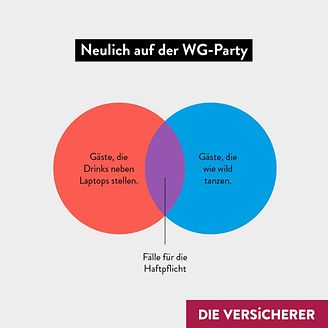 Neulich auf der WG-Party - Haftpflicht