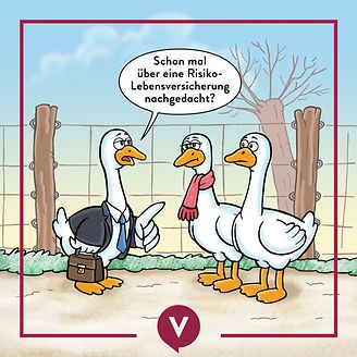 Risikolebensversicherung Weihnachtsgans