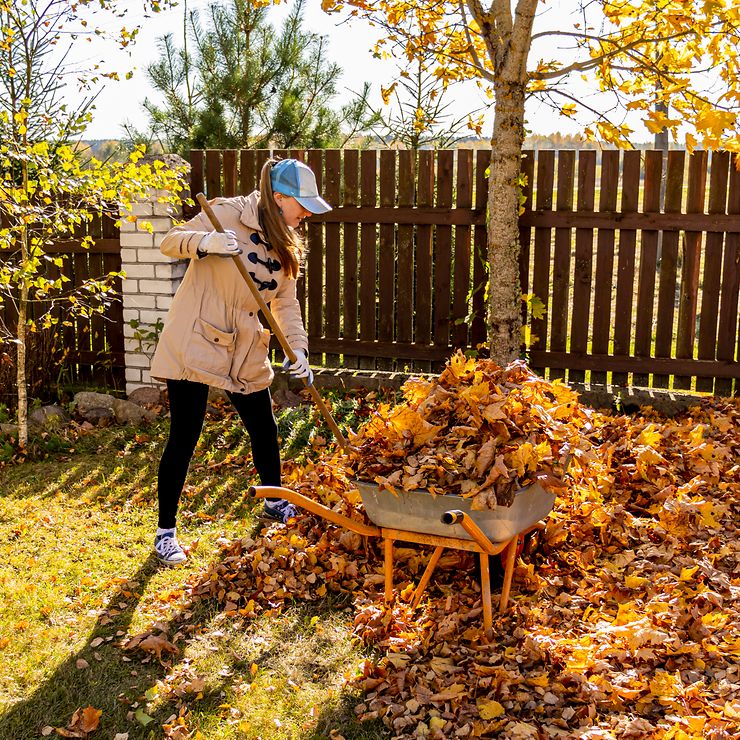 Wer haftet bei Unfällen durch Herbstlaub? (© Getty Images/ Yuliya Koneva)