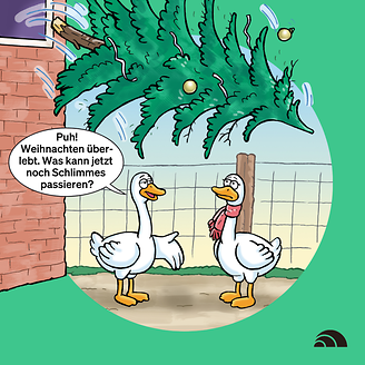 Gänse nach Neujahr - Was soll passieren?