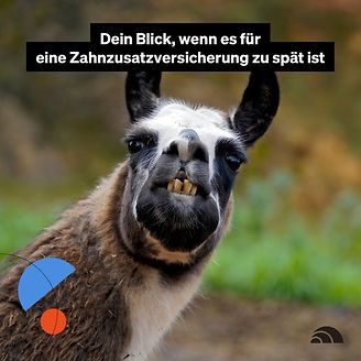 Dein Blick, wenn es für eine Zahnzusatzversicherung zu spät ist