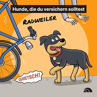 Hunde, die du versichern solltest