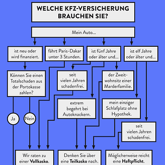 Welche Kfz-Versicherung brauchen Sie? (© DIE VERSiCHERER)
