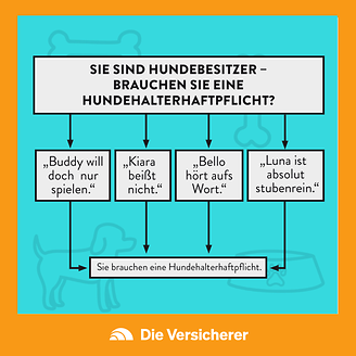 Brauchen Sie eine Hunderhalter-Haftpflicht? (© DIE VERSiCHERER)