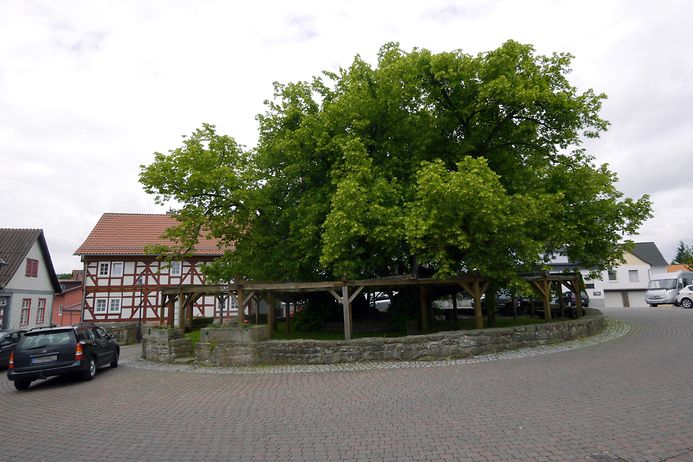 © Franz-Peter Tschauner / picture alliance / dpa