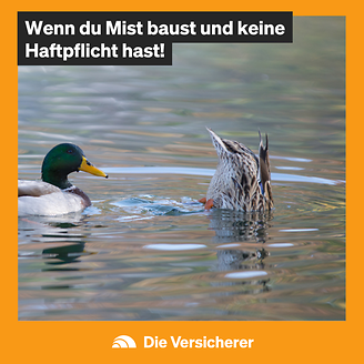 © DIE VERSiCHERER