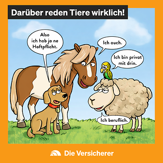 © DIE VERSiCHERER