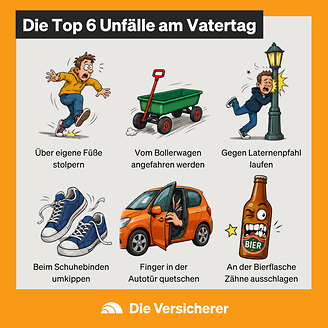© DIE VETRSiCHERER