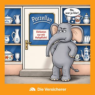 © DIE VERSiCHERER