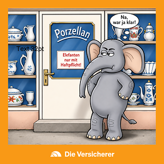 © DIE VERSiCHERER